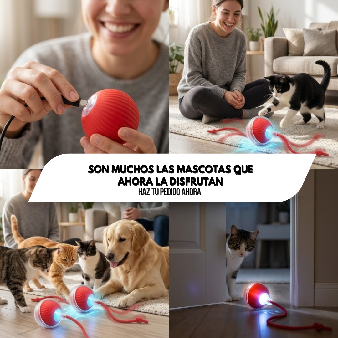 MiauMotion - Despierta su instinto de juego