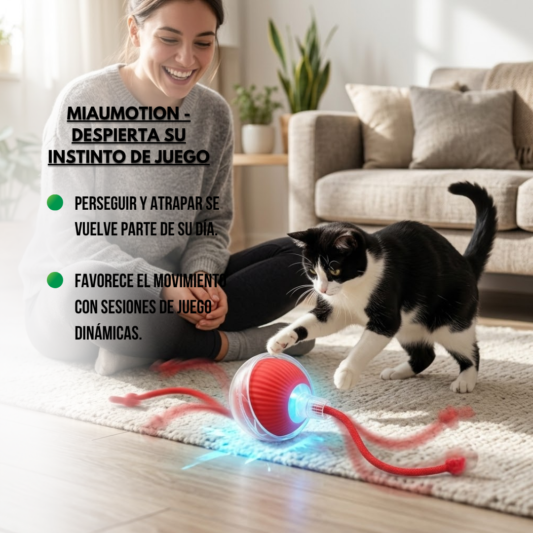 MiauMotion - Despierta su instinto de juego