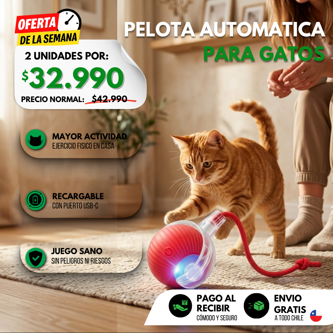 MiauMotion - Despierta su instinto de juego